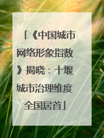 《中国城市网络形象指数》揭晓：十堰城市治理维度全国居首