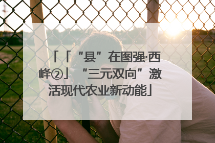 「“县”在图强·西峰②」“三元双向”激活现代农业新动能