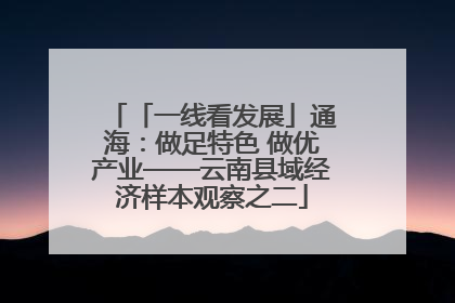 「一线看发展」通海：做足特色 做优产业——云南县域经济样本观察之二