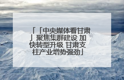 「中央媒体看甘肃」聚焦集群建设 加快转型升级 甘肃支柱产业增势强劲