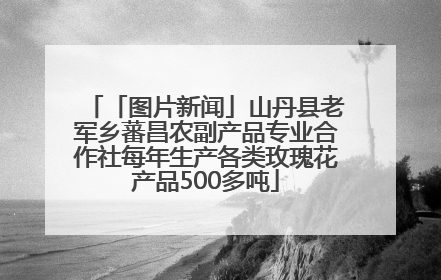「图片新闻」山丹县老军乡蕃昌农副产品专业合作社每年生产各类玫瑰花产品500多吨
