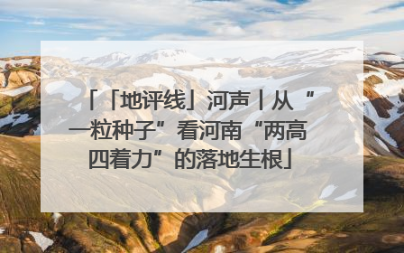 「地评线」河声丨从“一粒种子”看河南“两高四着力”的落地生根