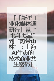 「新型工业化媒体调研行」从“北斗七星”到“热带雨林”：上海AI生态的技术商业共生密码