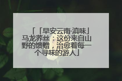 「早安云南·滇味」马龙荞丝：这份来自山野的馈赠，治愈着每一个寻味的游人