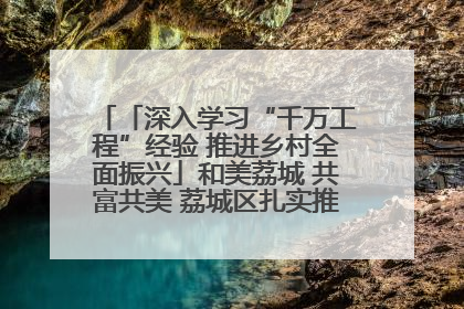 「深入学习“千万工程”经验 推进乡村全面振兴」和美荔城 共富共美 荔城区扎实推进乡村振兴工作