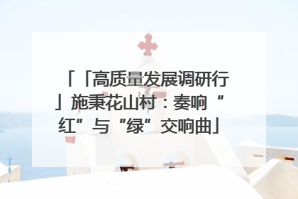 「高质量发展调研行」施秉花山村：奏响“红”与“绿”交响曲