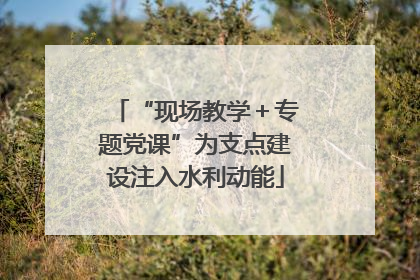 “现场教学＋专题党课”为支点建设注入水利动能