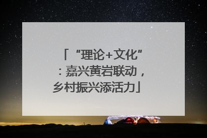 “理论+文化”：嘉兴黄岩联动，乡村振兴添活力