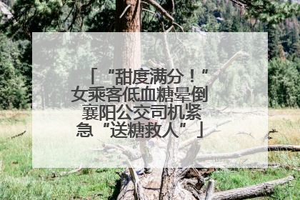 “甜度满分！”女乘客低血糖晕倒 襄阳公交司机紧急“送糖救人”