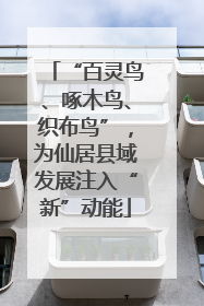 “百灵鸟、啄木鸟、织布鸟”，为仙居县域发展注入“新”动能