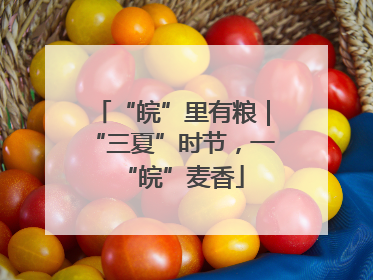 “皖”里有粮｜“三夏”时节，一“皖”麦香