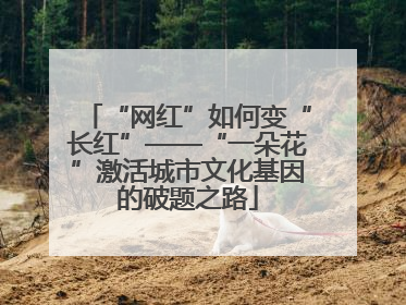 “网红”如何变“长红”——“一朵花”激活城市文化基因的破题之路