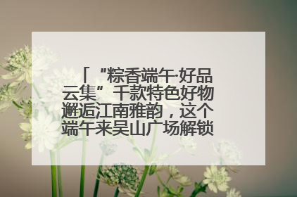 “粽香端午·好品云集”千款特色好物邂逅江南雅韵，这个端午来吴山广场解锁“浙里烟火气”