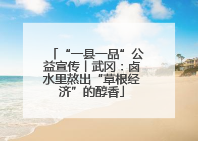 “一县一品”公益宣传丨武冈：卤水里熬出“草根经济”的醇香