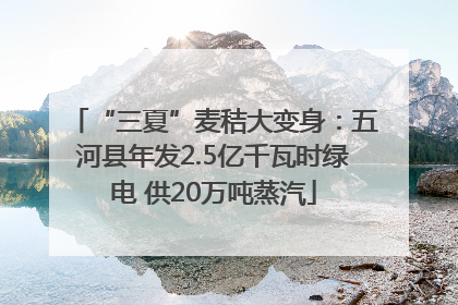 “三夏”麦秸大变身：五河县年发2.5亿千瓦时绿电 供20万吨蒸汽