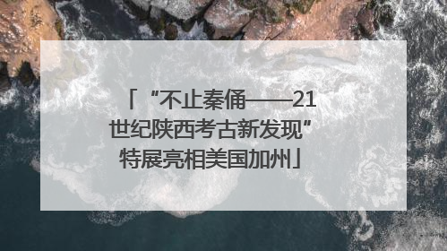 “不止秦俑——21世纪陕西考古新发现”特展亮相美国加州