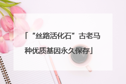 “丝路活化石”古老马种优质基因永久保存