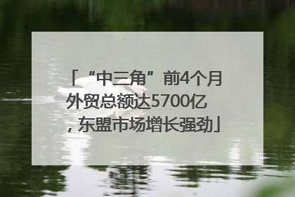 “中三角”前4个月外贸总额达5700亿，东盟市场增长强劲