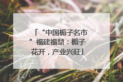 “中国栀子名市”福建福鼎：栀子花开，产业兴旺