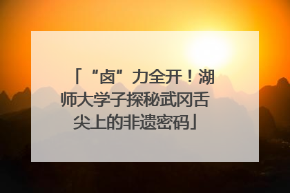 “卤”力全开！湖师大学子探秘武冈舌尖上的非遗密码