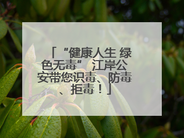 “健康人生 绿色无毒” 江岸公安带您识毒、防毒、拒毒！