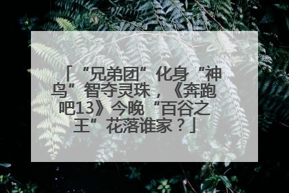 “兄弟团”化身“神鸟”智夺灵珠，《奔跑吧13》今晚“百谷之王”花落谁家？