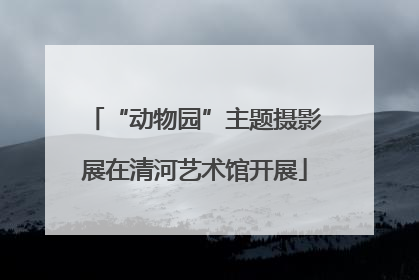 “动物园”主题摄影展在清河艺术馆开展