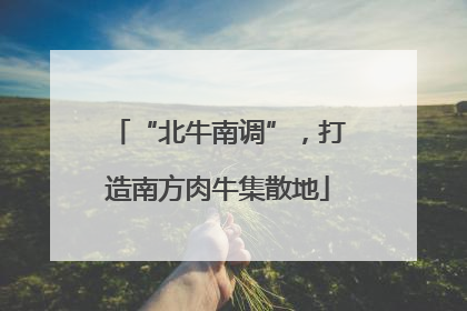 “北牛南调”，打造南方肉牛集散地