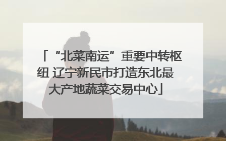 “北菜南运”重要中转枢纽 辽宁新民市打造东北最大产地蔬菜交易中心