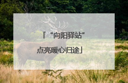 “向阳驿站”点亮暖心归途
