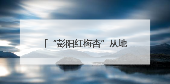 “彭阳红梅杏”从地标到金标的品牌蜕变