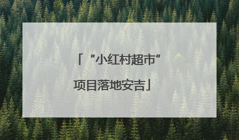 “小红村超市”项目落地安吉