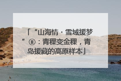 “山海情・雪域援梦”⑧：青稞变金稞，青岛援藏的高原样本