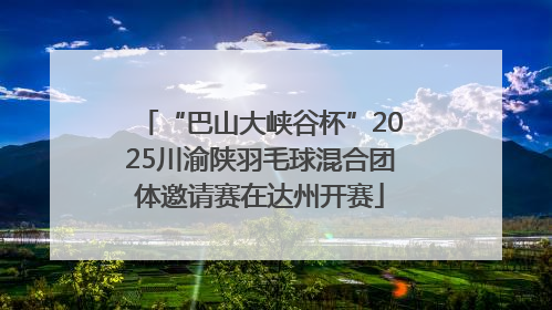 “巴山大峡谷杯”2025川渝陕羽毛球混合团体邀请赛在达州开赛
