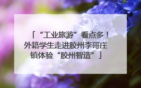 “工业旅游”看点多！外籍学生走进胶州李哥庄镇体验“胶州智造”
