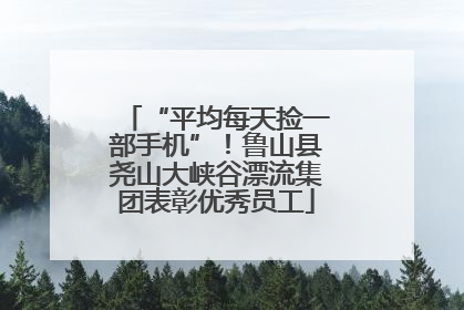“平均每天捡一部手机”！鲁山县尧山大峡谷漂流集团表彰优秀员工