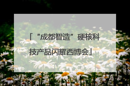 “成都智造”硬核科技产品闪耀西博会