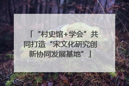 “村史馆+学会”共同打造“宋文化研究创新协同发展基地”