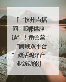 “杭州直播间+邯郸供应链”！角兽营“跨域双平台”激活鸡泽产业新动能