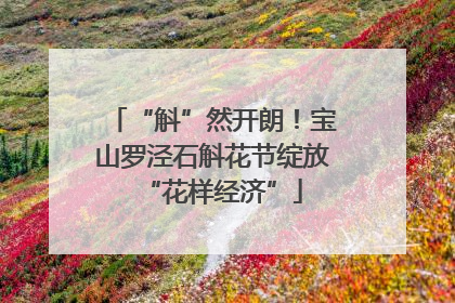 “斛”然开朗！宝山罗泾石斛花节绽放“花样经济”