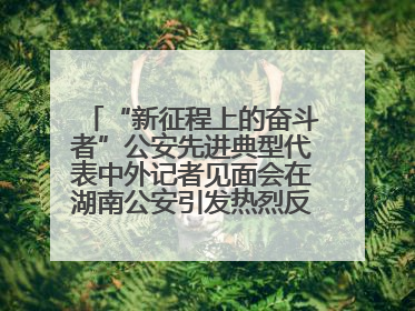 “新征程上的奋斗者”公安先进典型代表中外记者见面会在湖南公安引发热烈反响(二)