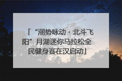 “潮势咏动・北斗飞阳”月湖迷你马拉松全民健身赛在汉启动