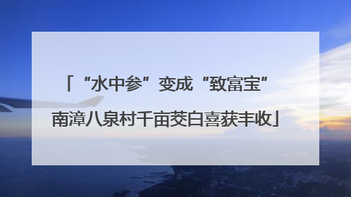 “水中参”变成“致富宝” 南漳八泉村千亩茭白喜获丰收