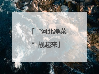 “河北净菜”靓起来