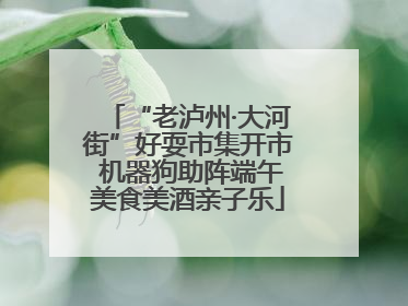 “老泸州·大河街”好耍市集开市 机器狗助阵端午美食美酒亲子乐