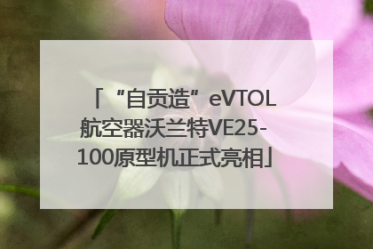 “自贡造”eVTOL航空器沃兰特VE25-100原型机正式亮相