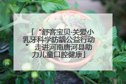 “舒客宝贝·关爱小乳牙科学防龋公益行动” 走进河南唐河县助力儿童口腔健康