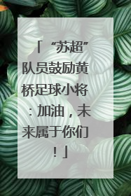 “苏超”队员鼓励黄桥足球小将：加油，未来属于你们！