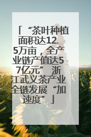 “茶叶种植面积达12.5万亩，全产业链产值达57亿元” 浙江武义茶产业全链发展“加速度”