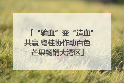 “输血”变“造血”共赢 粤桂协作助百色芒果畅销大湾区